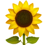 Safe Natural Oils