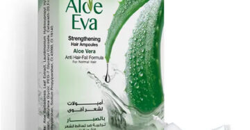 aloe vera barbadensis pflanze kaufen Aloe Vera Barbadensis
