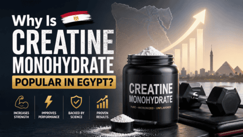Why Is Creatine Monohydrate Popular in Egypt