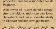 Wild Thyme Oil-زيت الزعتر البري