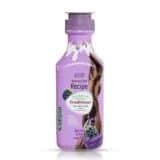 Eva Optimum Care Conditioner 350 ml with berry scent for deep hair hydration-ايفا اوبتيموم كير بلسم برائحة التوت 350 مل لترطيب الشعر ولمعانه الطبيعي